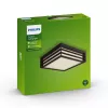 Philips myGarden Moonshine laevalgusti 28W E27 ilma pirnita, välisseinavalgustus, antratsiit, alumiinium, sünteetika, IP44, aed, terrass, II