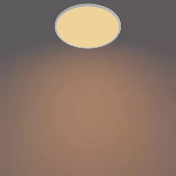 Laevalgusti Philips Functional Super õhuke 22 W valge ümmargune LED