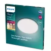 Laevalgusti Philips Functional Super õhuke 22 W valge ümmargune LED