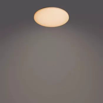 Philips Functional Izso laelamp 40 W, LED, 4300 lm, IP20, valge