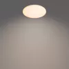 Philips Functional Izso laelamp 40 W, LED, 4300 lm, IP20, valge