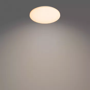 Philips Functional Izso laelamp 40 W, LED, 4300 lm, IP20, valge