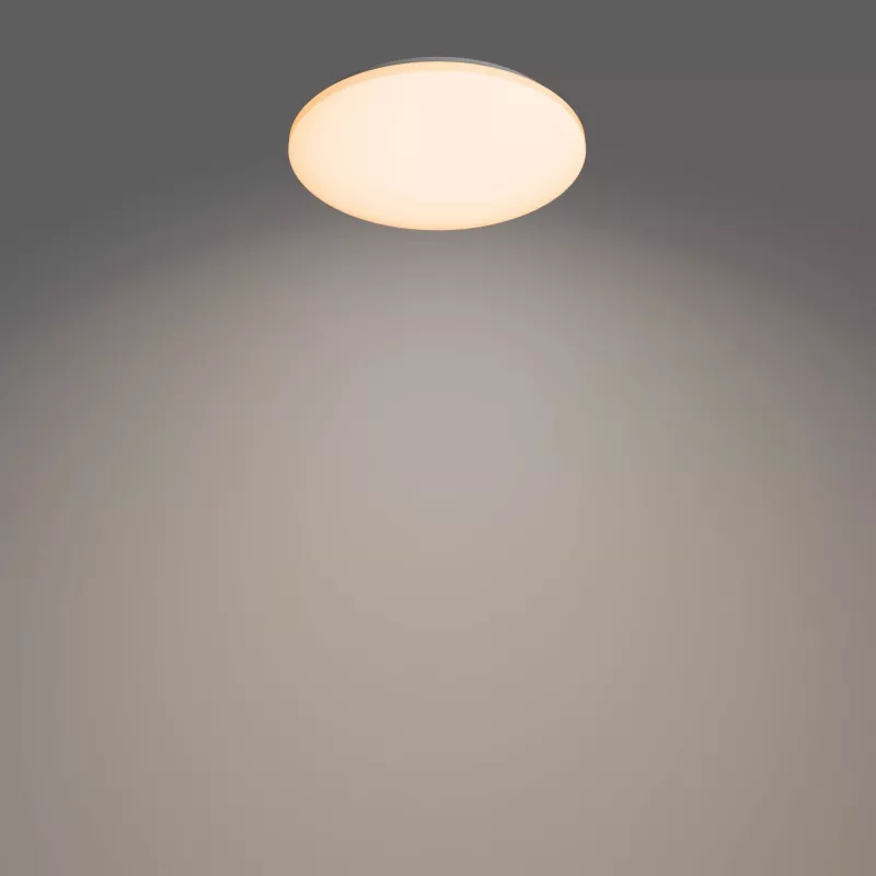 Philips Functional Izso laelamp 40 W, LED, 4300 lm, IP20, valge