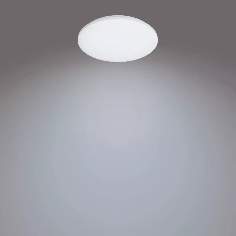 Philips Functional Izso laelamp 40 W, LED, 4300 lm, IP20, valge
