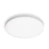 Philips Functional Izso laelamp 40 W, LED, 4300 lm, IP20, valge