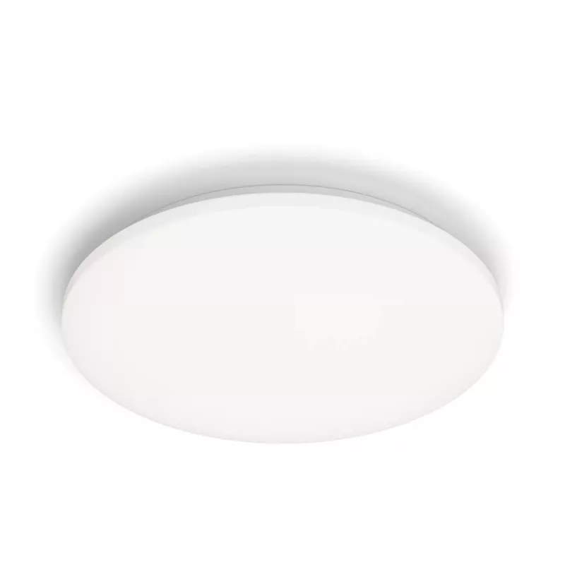 Philips Functional Izso laelamp 40 W, LED, 4300 lm, IP20, valge