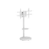 TECHLY Põrandaalus koos käru riiuliga LCD/LED/Plasma TV 37-86 tolli Valge