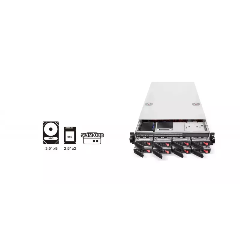 HDD ümbris Silverstone RM22-308 2.5/3.5 tolli 10 ketast must valge