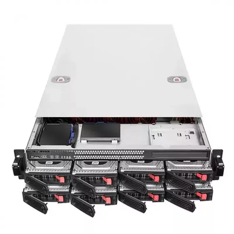 HDD ümbris Silverstone RM22-308 2.5/3.5 tolli 10 ketast must valge