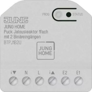 Katikuajam (1-kanaliline) Jung HOME Puck BTPJ1B2U kahe binaarsisendiga