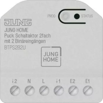 2-kanaliline lülitiaktuaator 2 binaarsisendiga Jung BT P S2 B2 U (JUNG HOME Puck)