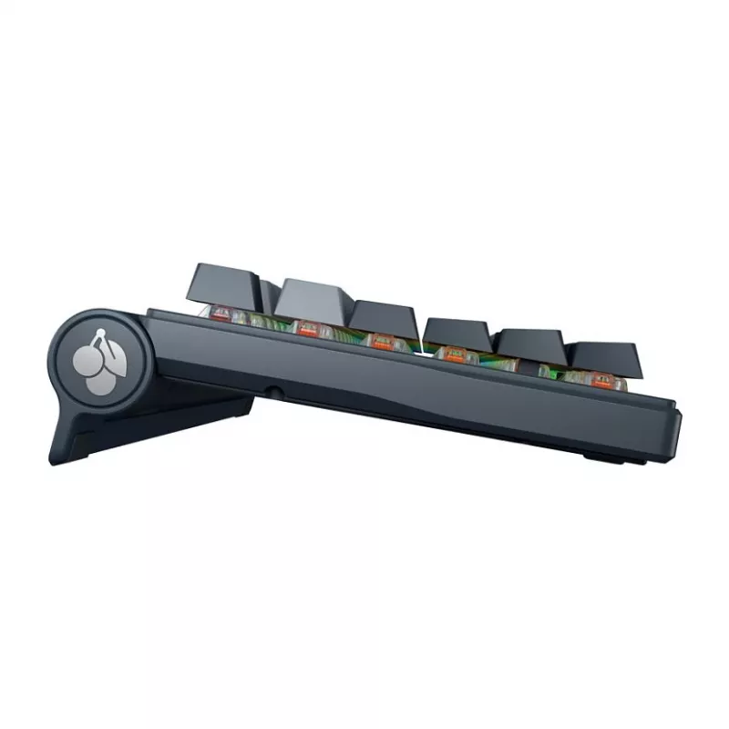 Mehaaniline klaviatuur CHERRY MX 8.3 Wireless RGB Red Switch FR, juhtmevaba, MX Red lülitid