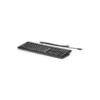 HPE Standard - klaviatuur - USB - hispaania - hõbedane, süsinikkiust - MultiSeat t200, Compaq Business Desktop dc7700, Flexible Thin Client t510 jaoks