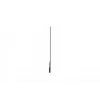 Digitaalse teabetahvli lameekraan LG 30EW5TP-A 30-tolline OLED 1366 x 768