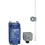 Schneider Electric Positsioonilüliti XCKJ10559H29 / 90276