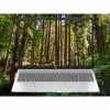 HP OmniBook 5 16-bc1002na AMD Ryzen™ 5 8540U sülearvuti 40,6 cm (16-tolline) puuteekraan 2K 8 GB LPDDR5-SDRAM 512 GB SSD Wi-Fi 6 (802.11ax) Windows 11 Home hõbedane