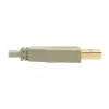 USB 2.0 A–B kaabel Tripp Lite U022-006-BE 6 jalga beež