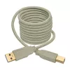 USB 2.0 A–B kaabel Tripp Lite U022-006-BE 6 jalga beež