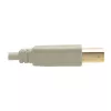 USB 2.0 A–B kaabel Tripp Lite U022-006-BE 6 jalga beež