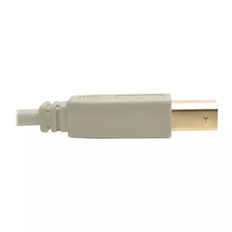 USB 2.0 A–B kaabel Tripp Lite U022-006-BE 6 jalga beež