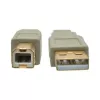 USB 2.0 A–B kaabel Tripp Lite U022-006-BE 6 jalga beež