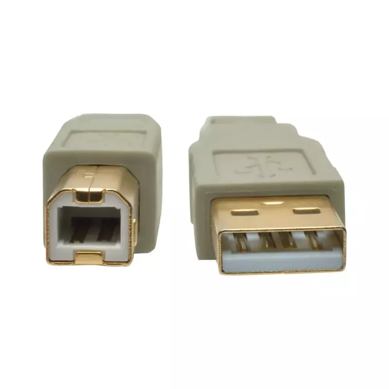 USB 2.0 A–B kaabel Tripp Lite U022-006-BE 6 jalga beež