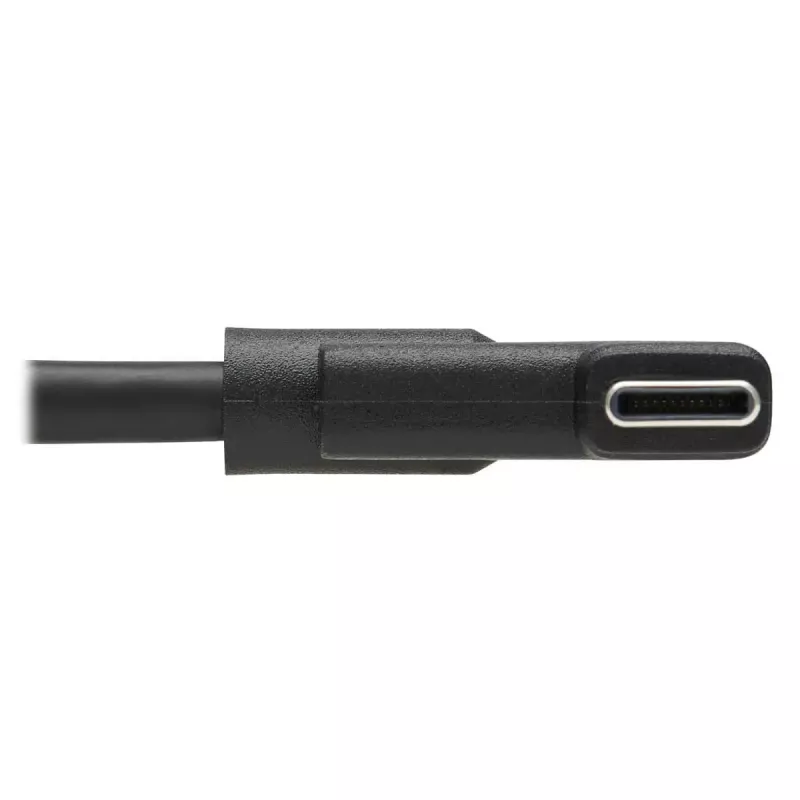 USB-C kaabel Tripp Lite U420-02M-RA 2m USB 3.2 Gen 1 Thunderbolt 3 paremnurkne