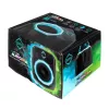 Cool Box Iceberg Thermal IceFLOE AURORA 0,355 L elektriline must