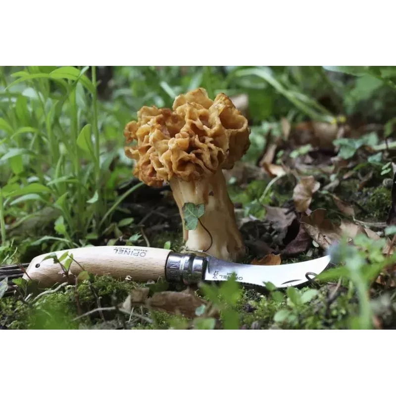 Opinel No. 08 Seenenõel kokkupandav nuga harjaga