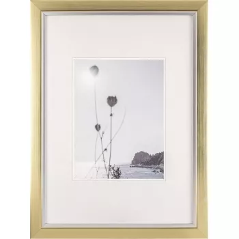 Pildiraam Walther Beyond DIN A3 29,7×42 cm vaik šampanja/kuldne