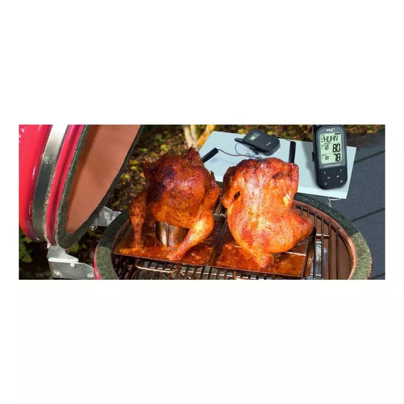 Toidutermomeeter TFA-Dostmann KÜCHEN-CHEF TWIN 0 - 300 °C digitaalne