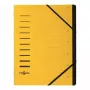 Kaust vahelehtedega Pagna 40058-05 Kollane