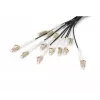Digitus eelmonteeritud klaaskiust universaalne breakout-kaabel, mitmemoodiline OM4, 12 kiudu, LC/UPC, 50 m