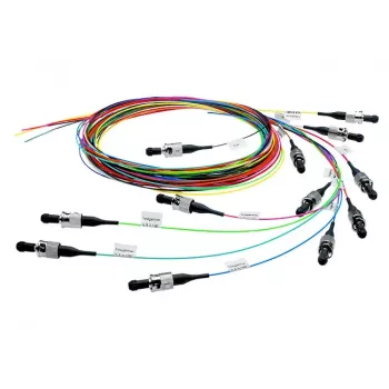 Telegärtner InfiniBand/kiudoptiline kaabel 2 m 12x SC Mitmevärviline