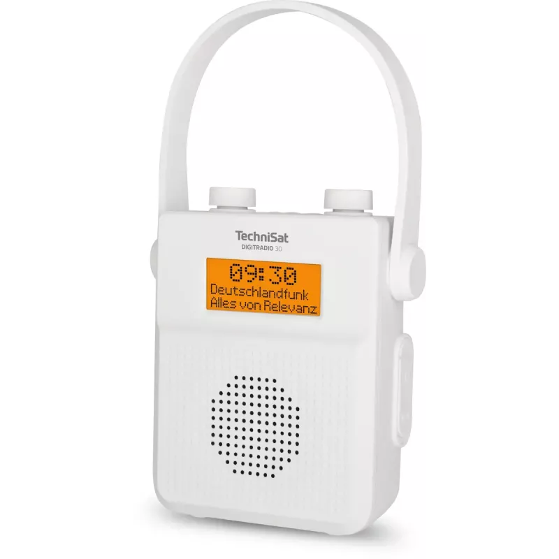 Kaasaskantav raadio TechniSat DIGITRADIO 30 - V2 analoog- ja digitaalne DAB+ FM