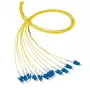 Fiiberoptiline kaabel EFB Elektronik O0480.2 2 m LC kollane