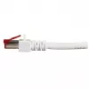 Võrgukaabel EFB Elektronik K5518.25 RJ-45 Cat6 25 m Valge