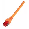 Networking kaabel EFB Elektronik K5516.50 RJ-45 Cat6 50 m oranž