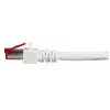 Võrgukaabel EFB Elektronik K5518.50 RJ-45 Cat6 50 m Valge