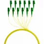 EFB Elektronik FTTH-PIGTAIL-LCA1 2m LC/APC 6x LC OS2 fiiberoptiline kaabel