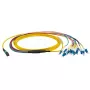 Fiiberoptiline kaabel EFB Elektronik MTPF12LCOS2-10 10 m