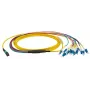 Fiiberoptiline kaabel EFB Elektronik MTPF12LCOS2-3