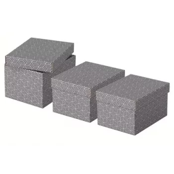 Hoiukarp Esselte 628281 Hall Ristkülikukujuline 200x255x150 mm