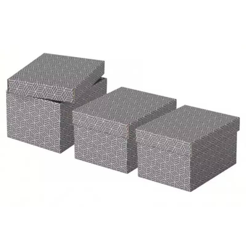 Hoiukarp Esselte 628281 Hall Ristkülikukujuline 200x255x150 mm