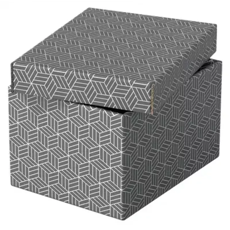 Hoiukarp Esselte 628281 Hall Ristkülikukujuline 200x255x150 mm