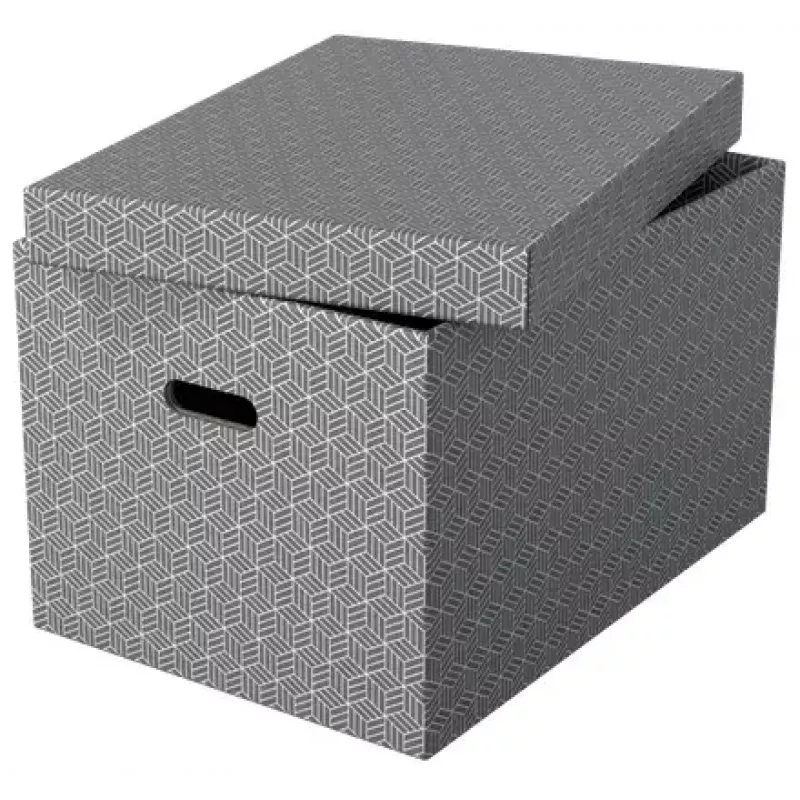 Hoiukarp ESSELTE 628287 ristkülikukujuline papist hall 355×510×305 mm