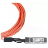 BlueOptics XS+DA0003-BL InfiniBand/kiudoptiline kaabel 3 m SFP28 Isane/Isane