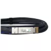 DAC-kaabel BlueOptics PAN-QSFPDD-DAC-1M-BL QSFP-DD InfiniBand 1m Must