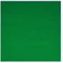 Kaamerakomplekt Walimex 16550 Roheline Puuvill 2850 mm x 6000 mm
