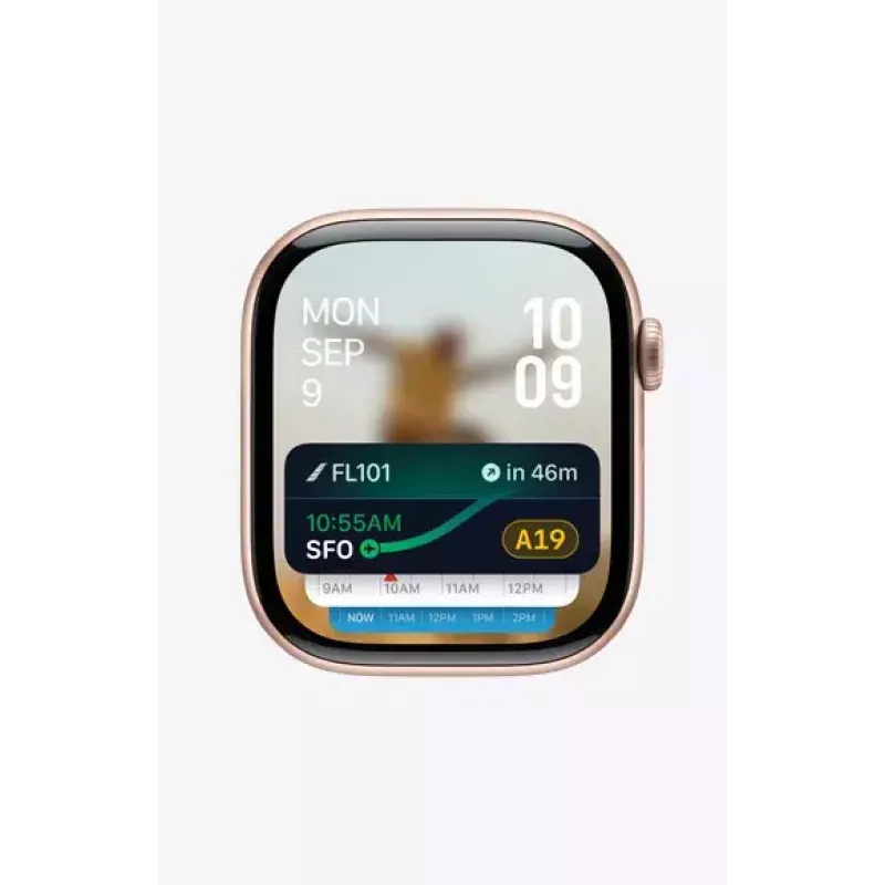 Nutikell Apple Watch Series 10 GPS + Cellular 42 mm tahvelhall titaankorpus must